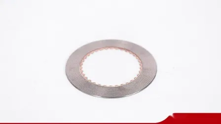 Disque de friction de frein de pièces de machines ISO9001